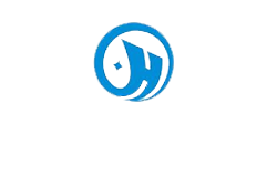 九五至尊VI